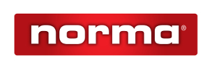 logo normy